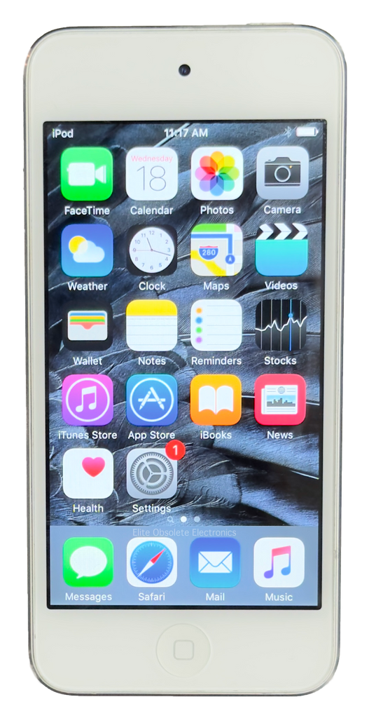 Rare iOS 9 Apple iPod Touch 6th Generation 16GB 64GB Silver A1574 Rare iOS 9 Apple iPod Touch 6th Generation 16GB 64GB Silver A1574