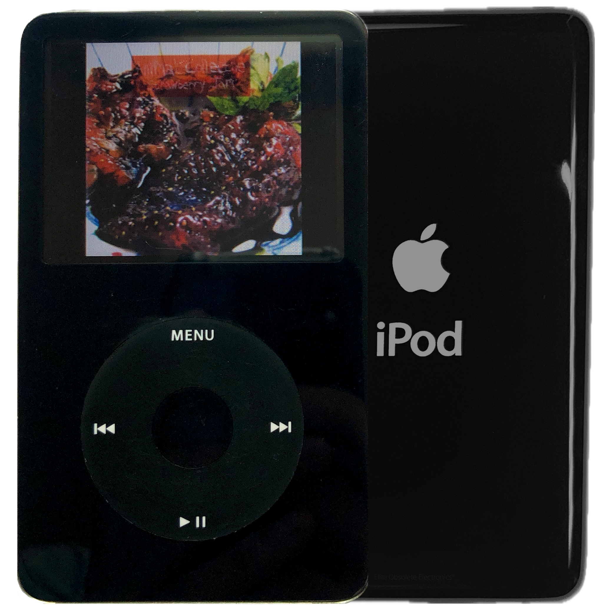 Apple iPod Video 5th & 5.5 Enhanced A1136 – Elite Obsolete Electronics Apple iPod Video 5th & 5.5 Enhanced A1136 – Elite Obsolete Electronics