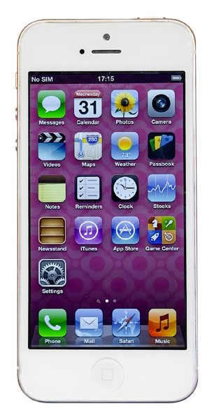 Refurbished Apple iPhone 5 16GB Rose Gold Custom Rare iOS 6.1.4 New Battery