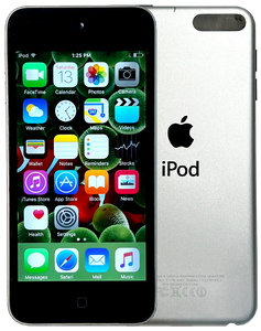 Refurbished Apple iPod Touch 5th Generation 16GB Silver Black No iSight ME643LL/A A1509 New Battery