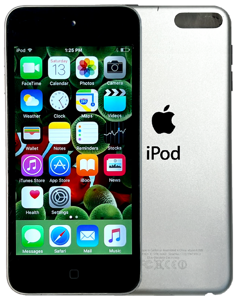 Refurbished Apple iPod Touch 5th Generation 16GB Silver Black No iSight ME643LL/A A1509 New Battery